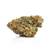 Critical Curple Autoflower Growers Choice Cannabis Bud