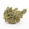 Do-Si-Dos Autoflower Growers Choice cannabis bud