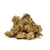 Jamaican Dream autoflower cannabis buds