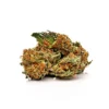 Master Yoda Autoflower Growers Choice Cannabis Bud