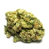 Mimosa Autoflower Growers Choice Cannabis Bud