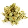 Northern Lights Autoflower Growers Choice Cannabis bud
