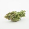 Purple Lemonade Autoflower Growers Choice Cannabis Buds
