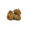 Recon Autoflower Growers Choice Cannabis buds
