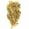 Rutz Autoflower Cannabis buds