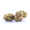 Tangerine Dream Autoflower Growers Choice Cannabis Buds