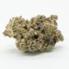 Tropicana Cookies Autoflower Growers Choice Cannabis bud