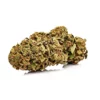White Widow Autoflower cannabis bud
