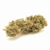 Durban Poison Fem Growers Choice Cannabis Bud