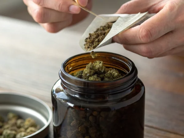 Hand storing cannabis seed storage jar with desiccant pack
