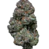White Rusian Fem Growers Choice Cannabis bud