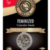 Panama Red Fem Growers Choice Cannabis seeds