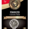 Seeds Runtz Growers Choice