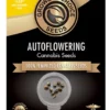 Alaska Thunderfuck Autoflower Growers Choice seeds