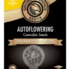 Colombian Gold Autoflower Growers Choice Cannabis seeds