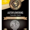 Gorilla Glue #4 Autoflower Growers Choice Cannabis Seeds