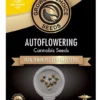 Ice Crean Cake Autoflower Growers Choice Cannabis Seeds