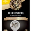 Mimosa Autoflower Growers Choice Cannabis Seeds