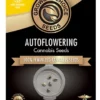 Rutz Autoflower Cannabis seeds
