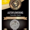 Tropicana Cookies Autoflower Growers Choice Seeds