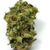 Girl Scout Cookies Fem Cannabis bud