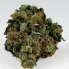 Granddaddy Purple Fem Growers Choice Cannabis Bud