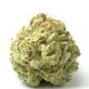 Grape Stomper Fem Growers Choice Cannabis Buds