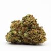 Ice Cream Fem Growers Choice Cannabis Bud