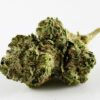 White Truffle Fem Growers Choice Cannabis Buds