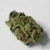 OG Kush Fem Growers Choice Cannabis Bud