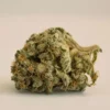 Obama Kush Fem Growers Choice Cannabis buds