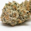 Panama Red Fem Growers Choice Cannabis buds