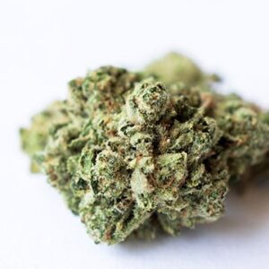 Bud Runtz Growers Choice