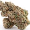 Super Boof Fem Growers Choice Cannabis Bud