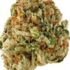 Super Sour Diesel Fem Growers Choice Bud