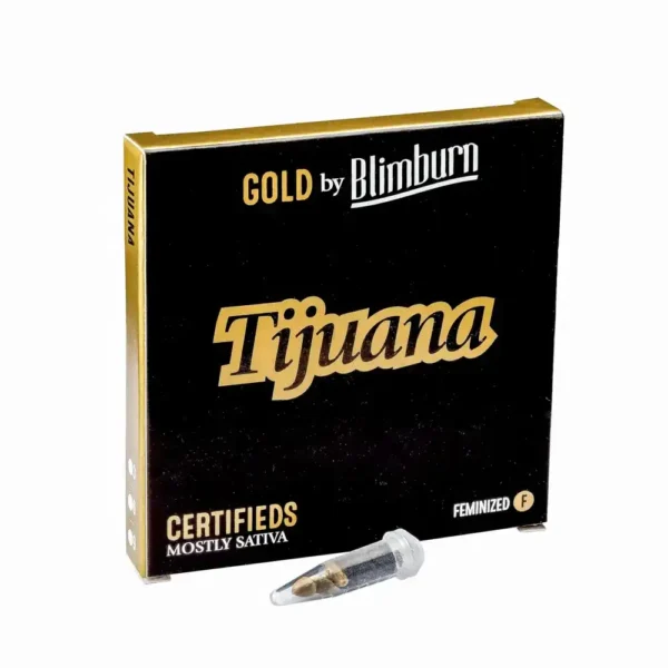 Tijuana feminized seed packaging in black and gold with a clear seed vial.