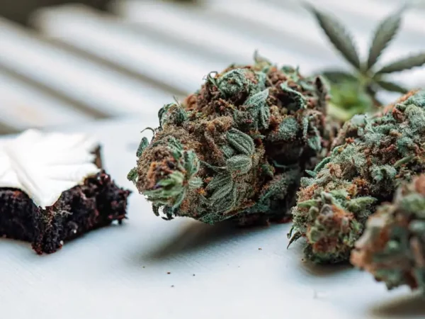 freshly cured cannabis buds next to a chocolate brownie with cannabis leaf frosting