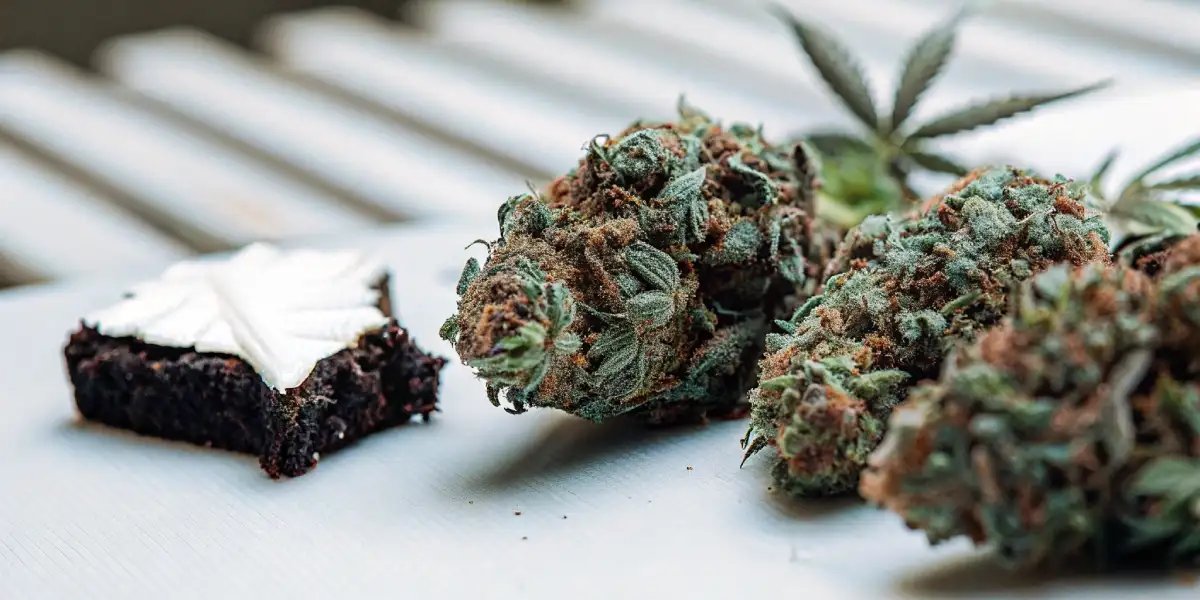 freshly cured cannabis buds next to a chocolate brownie with cannabis leaf frosting