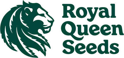 Royal Queen Seeds