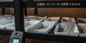 How to Grow cbd auto 11 cbd crack: A Step-by-Step Guide