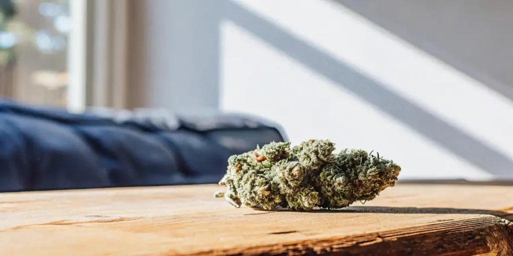 Most Popular Weed Strains