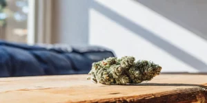 Most Popular Weed Strains