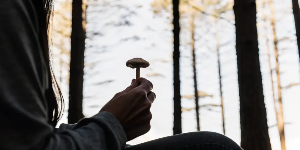 close-up of a person holding a fresh psilocybin mushroom in the forest