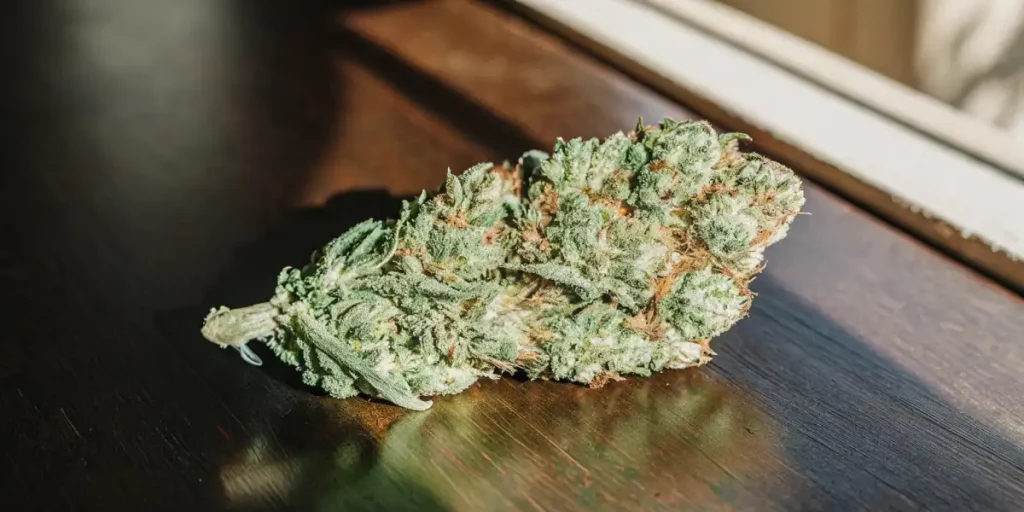 Best Weed Strain for Arousal