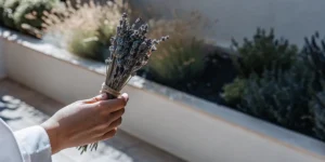 Can You Smoke Lavender? Unpacking the Facts