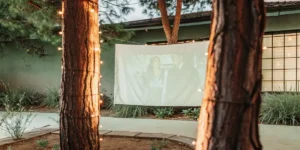 Best Movies to Watch While Tripping