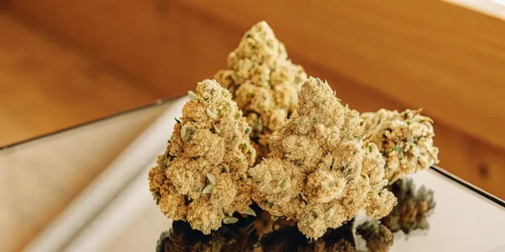macro of White Widow buds covered in heavy trichomes