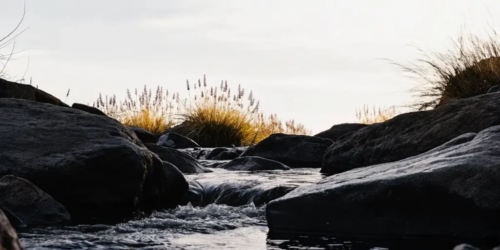 Serene mountain stream with clear water flowing over dark rocks, flanked by tall golden grasses, under a bright sky.