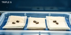 How to Grow Triple G: A Step-by-Step Guide
