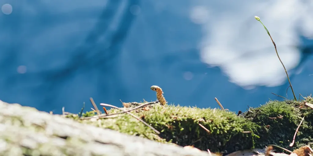 A Worm is Feeding on Dead Plant Matter